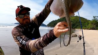 FUI OBRIGADO À IR EMBORA DESSA PRAIA EM UBATUBA, PESCA DE PRAIA.