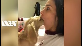 Best Pet Instagram Compilation #18 || 2017