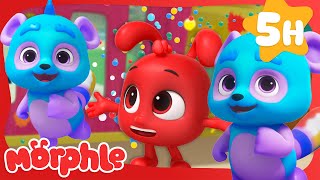 Morphle's Blue Bear Group! 💙 | Morphle's Family | My Magic Pet Morphle | Kids Cartoons