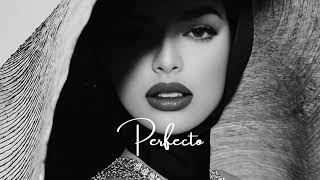 Perfecto - Ethnic & Deep House Relax Mix Vol. 14