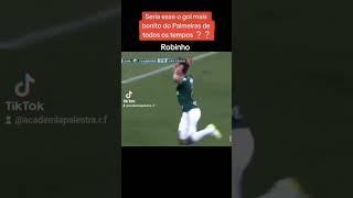 Golaço do Robinho, seria o mais bonito do Palmeiras de todos os tempos?? #palmeiras #palmeirasoficia