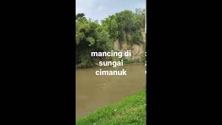 mancing gabus di kali cimanuk