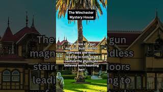 The Winchester Mystery House😳😱👻| did you know?#dailyfacts #daily #winchestermysteryhouse