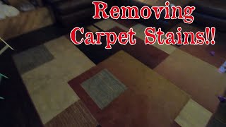 How To Remove Stains From Carpet/Rug #superclean