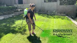 Endurant TurfPaint.net Lawn and Landscape Colorants