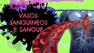 Aula 10: SISTEMA CIRCULATÓRIO - PARTE 1 - vasos sanguíneos e sangue