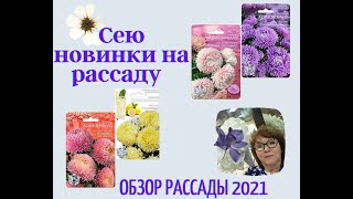 Сею новинки на рассаду Обзор рассады на 21 марта 2021 г