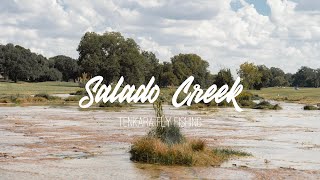 Big Tree Fall Hard: Salado Creek Tenkara Fly Fishing