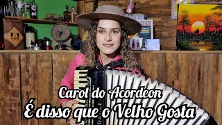 Carol do Acordeon - É disso que o velho Gosta