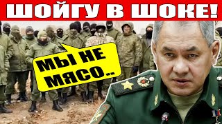 СРОЧНО! Мобилизованные записали обращение к Шойгу!