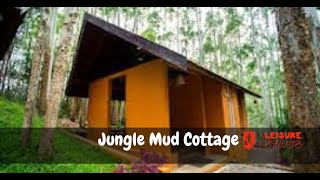 Jungle Mud Cottages