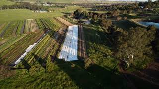 Aerial Footage - Keilor & Brimbank Park