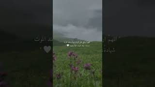 أرح سمعك 🥀القارئ: رعد الكردي 🍃حالات واتس آب