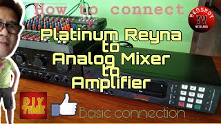 Platinum Reyna to Mixer to Amplifier||How to connect||Diy Connection.