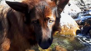 Смольные водопады, осень. Анисимовка, Шкотовский район. Путешествия по Приморскому краю.