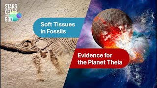 Soft Tissues in Fossils and Evidence for the Planet Theia | Fazale Rana and Hugh Ross