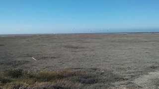 More kitesurfers from Seal Point Park