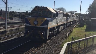 Adam's Trains Vlogs: Freighters & Light-Rail at Dulwich Hill