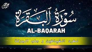 سورة البقرة ( كاملة ) رقية للمنزل وعلاج للسحر للقارئ علاء عقل - Surah Al-Baqara Full by Alaa Aql