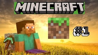 🎮 Playing Minecraft Episode 1 | Let's Dive into the Adventure! 🪓🌍