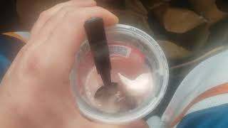 Wendy's Peppermint Frosty Review