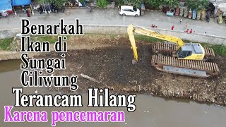 Benarkah Sungai Ciliwung sudah Tercemar Berat??