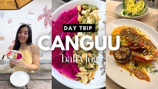 Bali | Things to do in CANGGU (cafe hopping, beach clubs, fire restaurant) (Day 2)