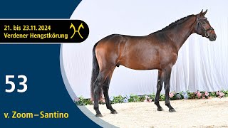 No. 53 Stallion by Zoom - Santino | Verden Stallion Licensing 2024 - Dressage - Nov. 22/23