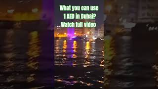 Dubai on Budget vlog: what you can use 1 AED in #dubai #short #trending #diy #asia #india #love