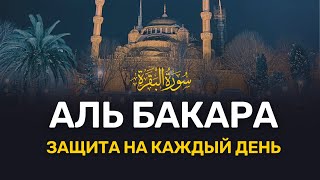 СЛУШАЙТЕ СУРУ АЛЬ БАКАРА ЗАЩИТА НА КАЖДЫЙ ДЕНЬ