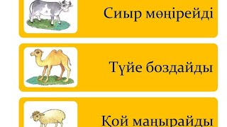 Сіз білмейтін төрт-түлік мал туралы ақпарат!