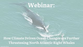 How Climate Driven Ocean Changes are Further Threatening North Atlantic Right Whales