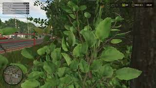 Farming Simulator 25 test cut