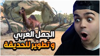 حديقة الحيوان #5 : شريت الجمل العربي (الأبل ) و تطوير جديد 😍🔥 | Zoo