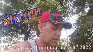 #Stream Belarus. Началась третья неделя наслаждений. Спрашивайте, попробуем ответить.