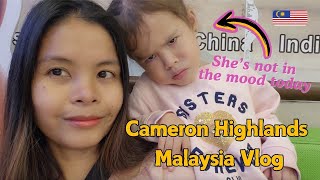 Our daughter is not in the mood. Cameron Highlands Malaysia vlog