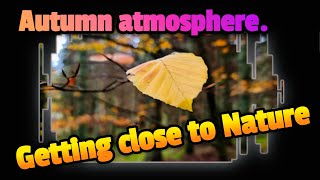 Outdoor Weekend - Autumn Atmosphere - Getting Close To Nature…