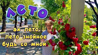 Вот и лето прошло