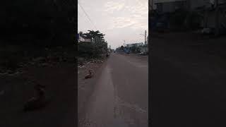 one way road make are #sort #dattudhulam