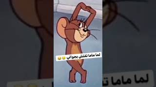 عادي عادي 😂❤