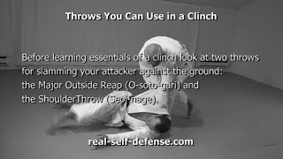 Self-Defense Clinch: Grips, Throws, Knee Kicks, Bumps and Trips, Turns, and a Clinch at a Wall