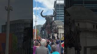 commonwealth games bull, Birmingham 2022