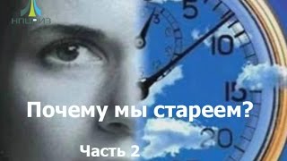 Почему мы стареем. Часть 2