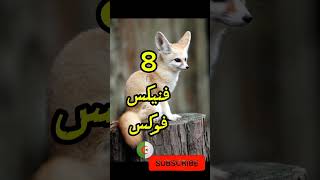 Top10 حیوانات مخصوص کشور ها