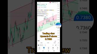 xrp ripple price prediction July 23,2023