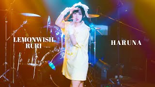 [4k] 241026 코코이야 하루나 직캠 | Ruri birthday Live Lemonwishruri🍋