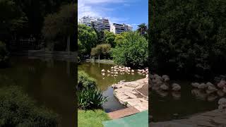 FLAMENCOS EN PALERMO Visitalos en el ex zoo ahora Ecoparque. #travel