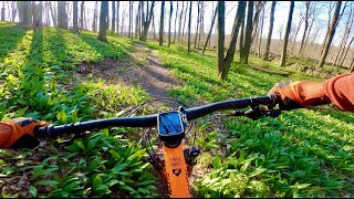 Lackawanna State Park Flo Trail & Rowlands Preserve