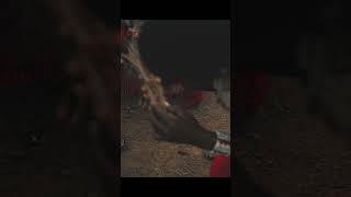 Traditional firemaking by Maasai Warrior