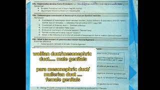 remnant of nephric ducts|embryology lectures|Fcps part-1 preparation forum